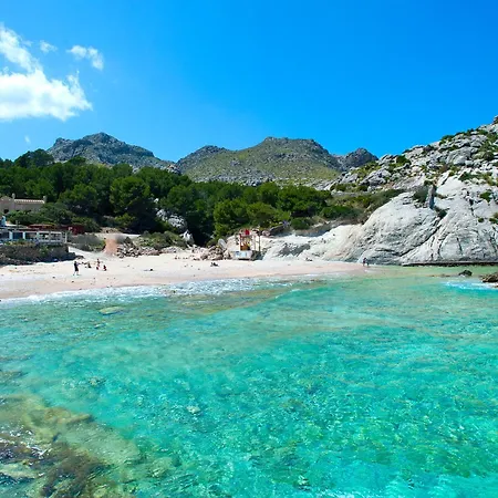 Owl Vinya Frares - Luxury Retreat *