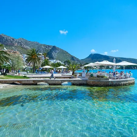 Owl Vinya Frares - Luxury Retreat *