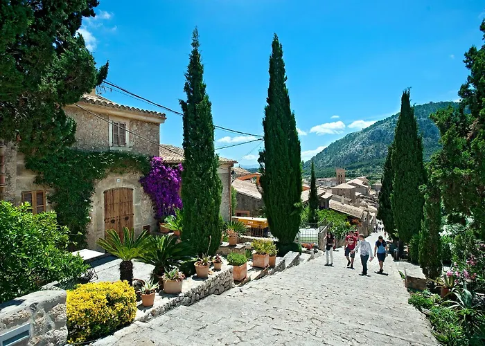 Owl Vinya Frares - Luxury Retreat Willa Pollensa