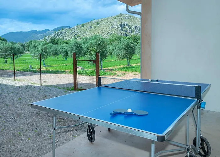 Willa Owl Vinya Frares - Luxury Retreat